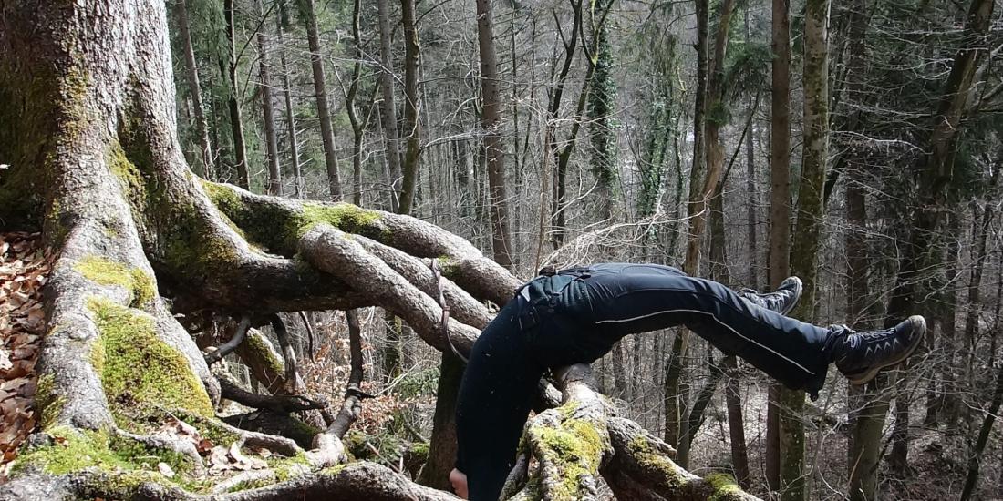 Wurzeln eines Baumes im Wald. Eine Person liegt mit dem Rücken auf einer Wurzel