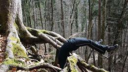 Wurzeln eines Baumes im Wald. Eine Person liegt mit dem Rücken auf einer Wurzel